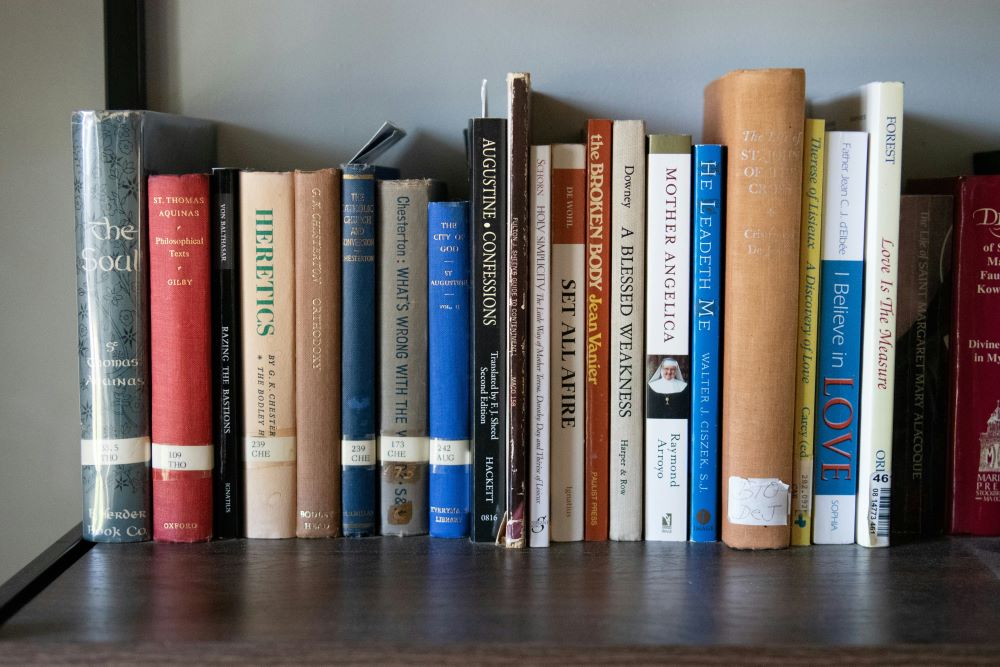 A row of books on a shelf