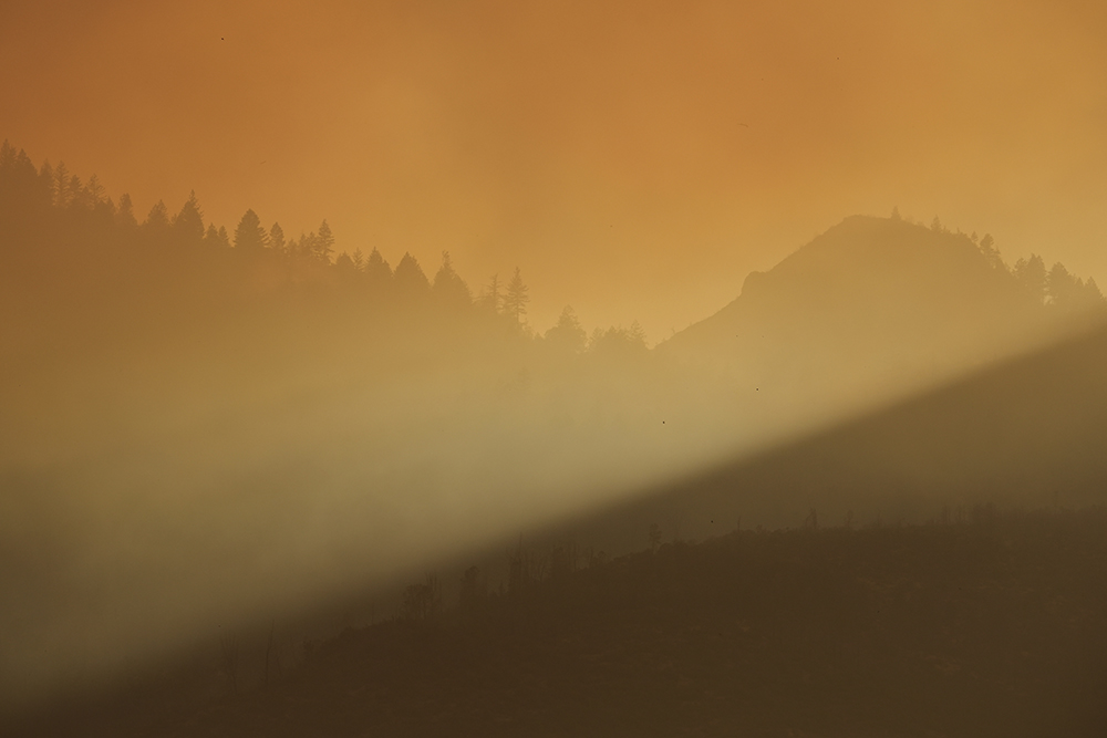 Sunlight cuts through smoke from the Pickett wildfire on Aug. 22, 2025, in Napa County, Calif. (AP/Godofredo A. Vásquez)