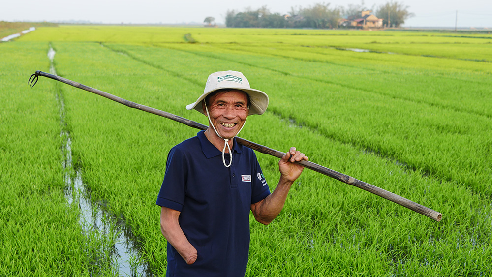 A Vietnamese farmer of the Quang Tri province goes back to his work — after being affected by a land mine — thanks to Roots of Peace in 2015. (Courtesy of Heward Jue)
