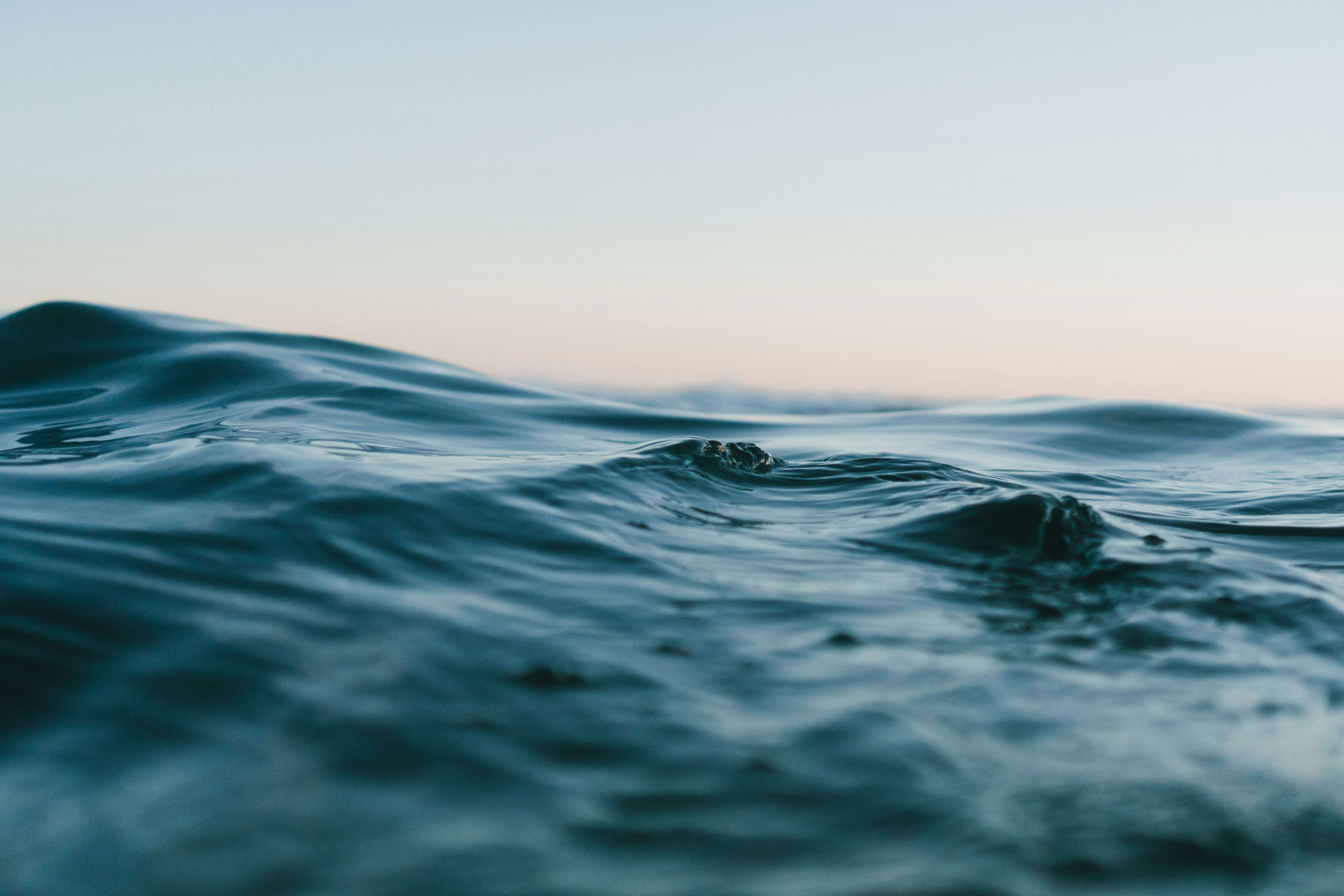 (Foto: Unsplash/çMatt Hardy)