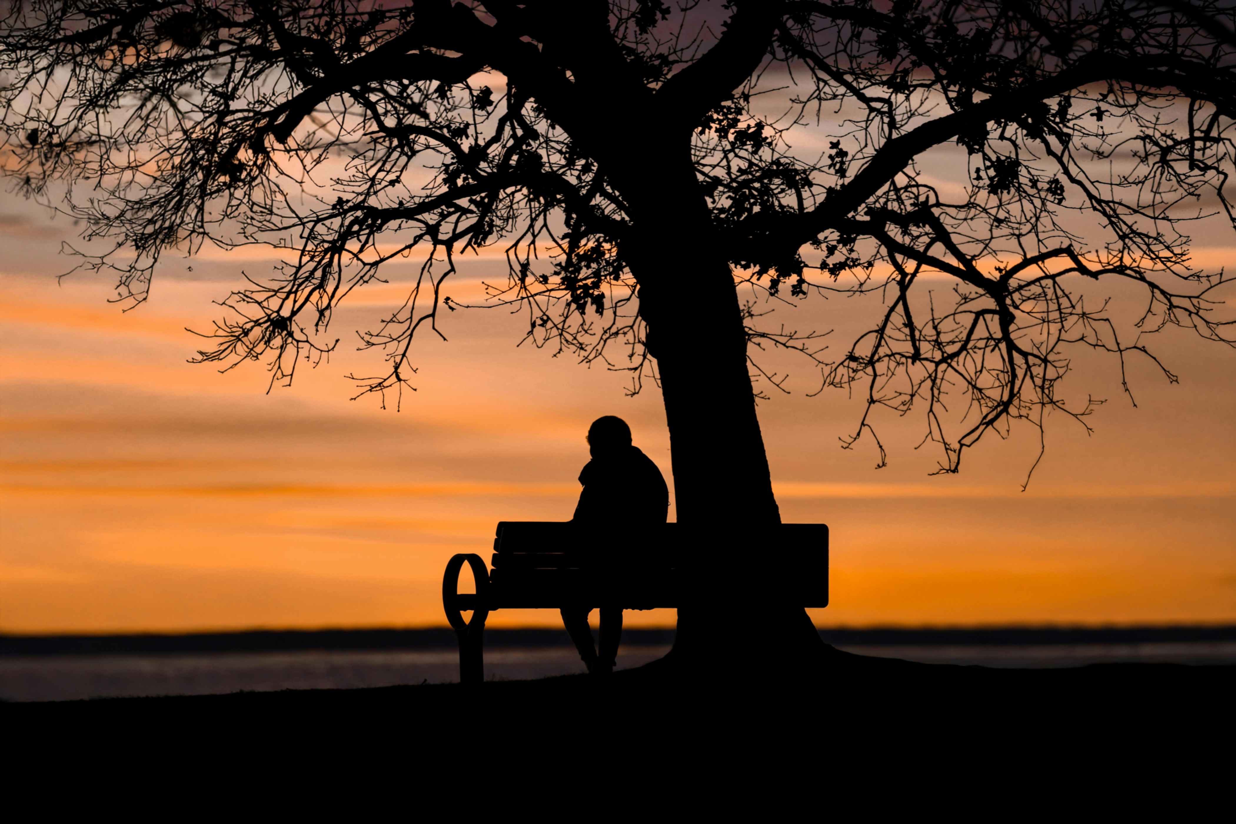 Atardecer silencioso. (Foto: Pexels/David Kanigan)