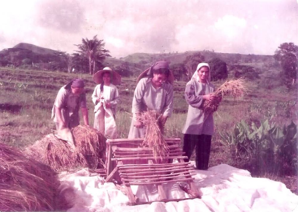 Sisters of the Little Sisters of Jesus thresh rice in Boso-Boso, Antipolo, Philippines, in the 1980s. They are beating harvested stalks against a wooden frame to separate the grain. (Courtesy of Little Sisters of Jesus)