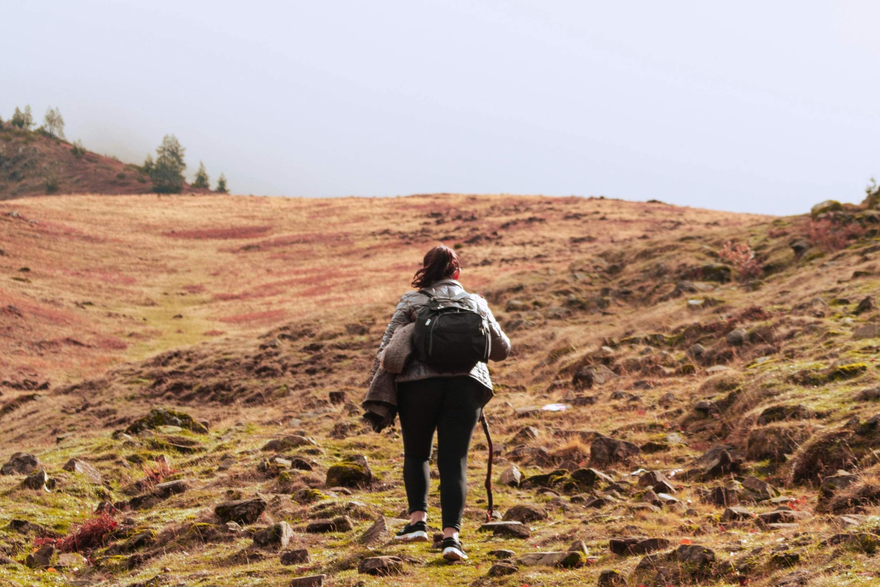 (Foto: Pexels/Sabinakallari)