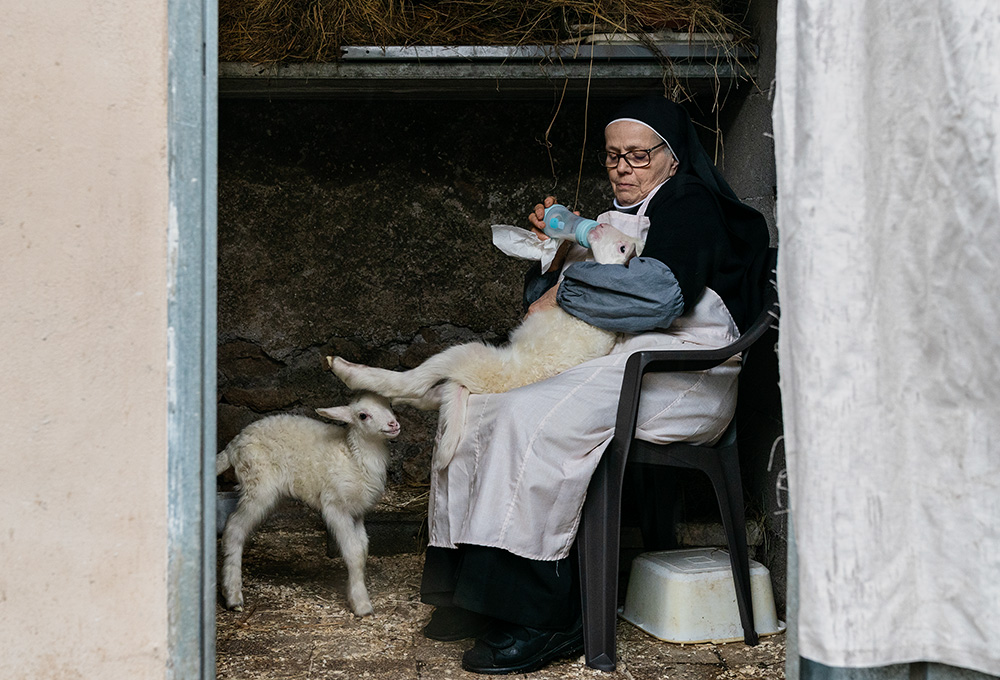 The new Italian documentary film "Agnus Dei" follows the Benedictine sisters in Rome who care for two lambs whose wool becomes part of a papal vestment — a centuries-old tradition. The lambs' principal caretaker is Sr. Vincenza Portaluri, shown here with the animals. (Riccardo Ghilardi)