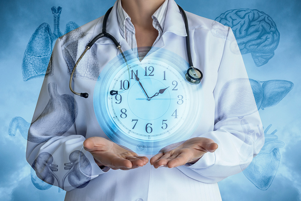 Composite image of a doctor with a clock and drawings of internal organs (Dreamstime/Nataliia Mysik)
