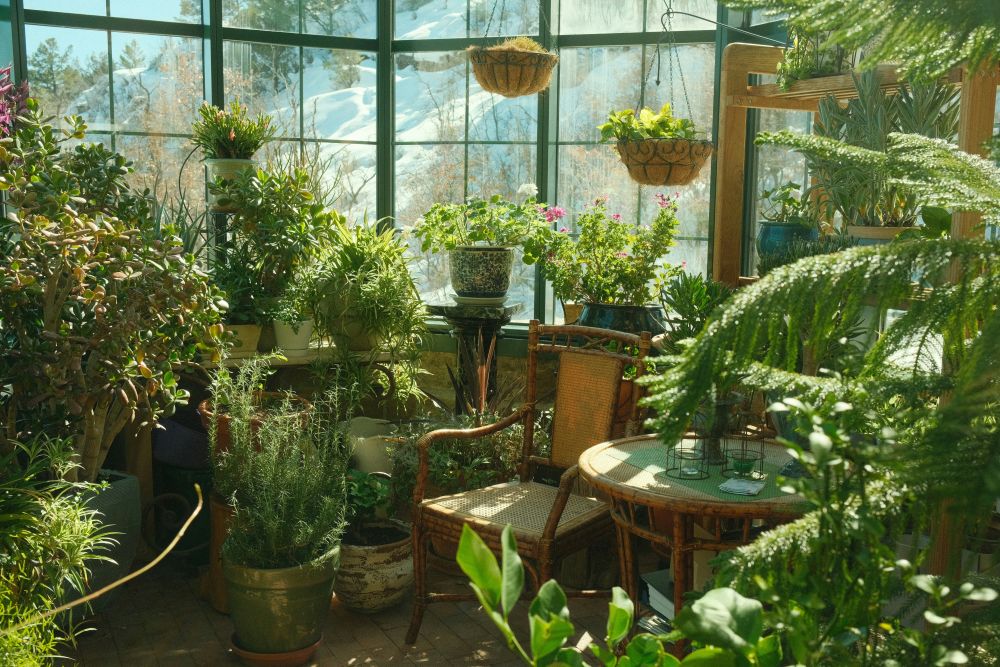 room full of plants 