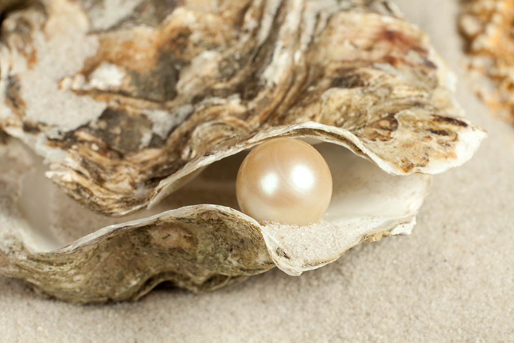 Pearl in an oyster shell (Dreamstime/Photowitch)