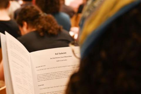 Person looks at booklet.