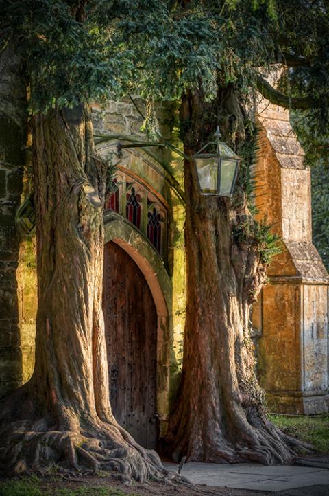 Old yew trees frame the north door of St. Edward's Church in Stow-on-the-Wold, England. (Wikimedia Commons/GZagatta)