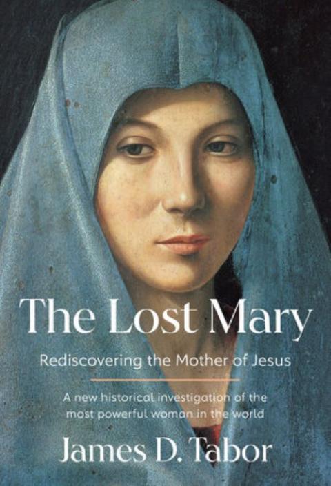 "The Lost Mary" book cover