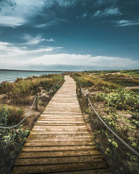 Boardwalk leading off toward the sea (Unsplash/Miguel Bruna)