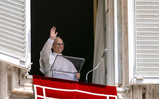 Pope Leo XIV greets pilgrims after leading the Angelus in St. Peter’s Square at the Vatican July 27. (CNS/Vatican Media)