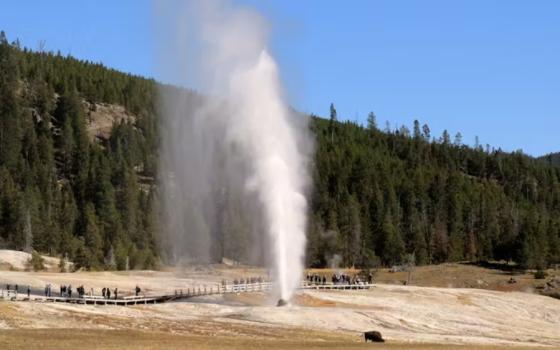 Beehive Geyser, in the Upper Geyser Basin of Yellowstone National Park. (Thomas S. Bremer)