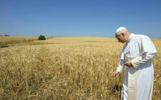 Pope Leo XIV visits a field where the Vatican is studying setting up a solar farm on land surrounding the Vatican Radio shortwave transmission center at Santa Maria di Galeria outside of Rome June 19, 2025. (CNS/Vatican Media)
