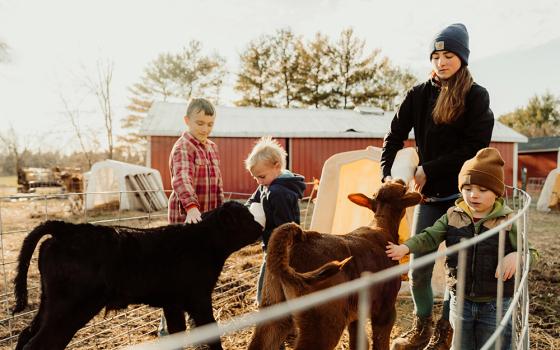 Dan and Whitney Belprez of Two Sparrows Farms in Michigan include their four children in farm duties, like milking the cows. (Courtesy of Diocese of Lansing)