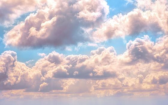 (Unsplash/Billy Huynh)