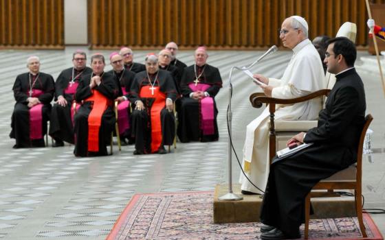 Pope Leo speaks to a group.