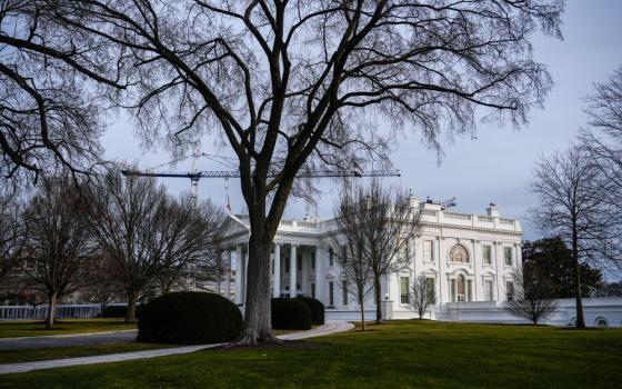 Construction cranes are seen over the White House Jan. 24 in Washington. (AP/Julia Demaree Nikhinson)