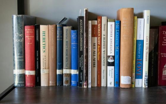 A row of books on a shelf