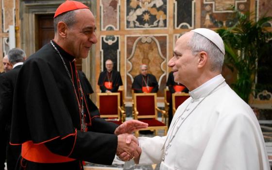 Pope Leo XIV meets Cardinal Víctor Manuel Fernández, prefect of the Dicastery for the Doctrine of the Faith, during an audience with members and officials of the dicastery and others participating in its plenary session at the Vatican Jan. 29. (CNS/Vatican Media)