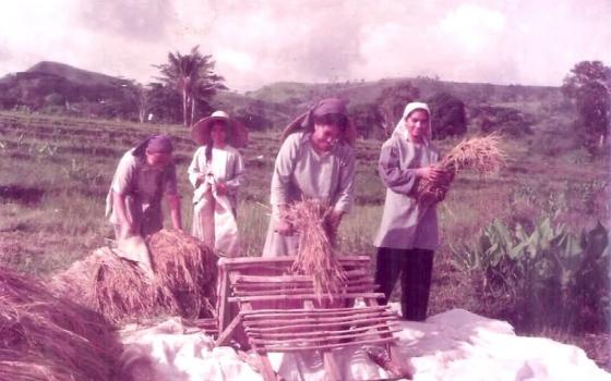 Sisters of the Little Sisters of Jesus thresh rice in Boso-Boso, Antipolo, Philippines, in the 1980s. They are beating harvested stalks against a wooden frame to separate the grain. (Courtesy of Little Sisters of Jesus)