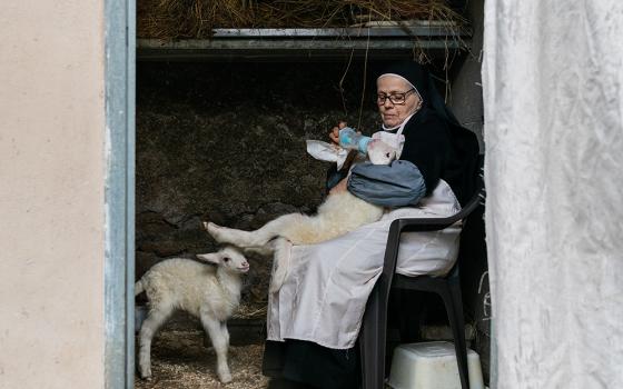 The new Italian documentary film "Agnus Dei" follows the Benedictine sisters in Rome who care for two lambs whose wool becomes part of a papal vestment — a centuries-old tradition. The lambs' principal caretaker is Sr. Vincenza Portaluri, shown here with the animals. (Riccardo Ghilardi)