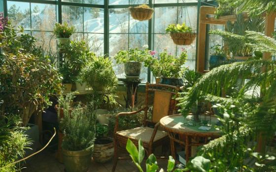 room full of plants 