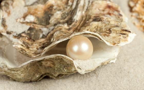 Pearl in an oyster shell (Dreamstime/Photowitch)